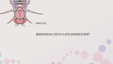 ѧԺ